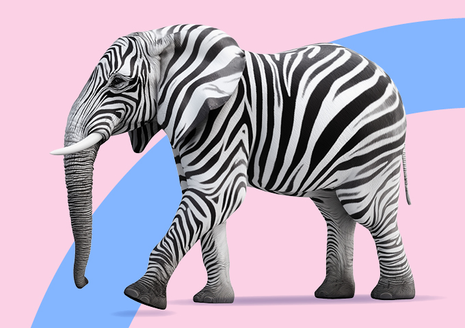 A web banner with a light pink background features a animal that has the body of an elephant with black and white zebra stripes.